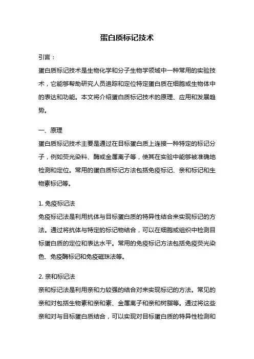 蛋白质标记技术