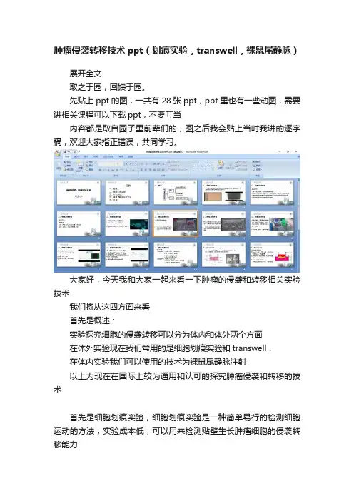 肿瘤侵袭转移技术ppt（划痕实验，transwell，裸鼠尾静脉）