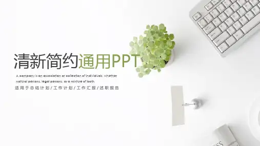 清新简约通用PPT模板