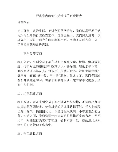 严肃党内政治生活情况的自查报告