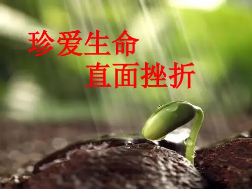 初中高中优质主题班会课件——珍爱生命-直面挫折(共17张PPT)