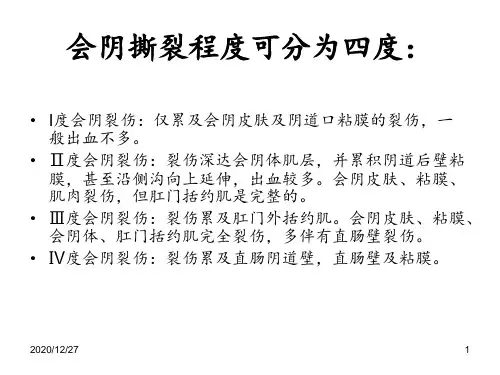 会阴裂伤分度及缝合 ppt课件