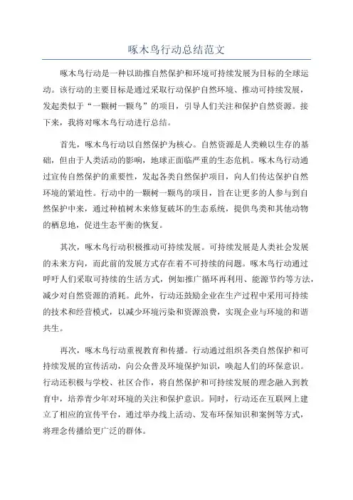 啄木鸟行动总结范文