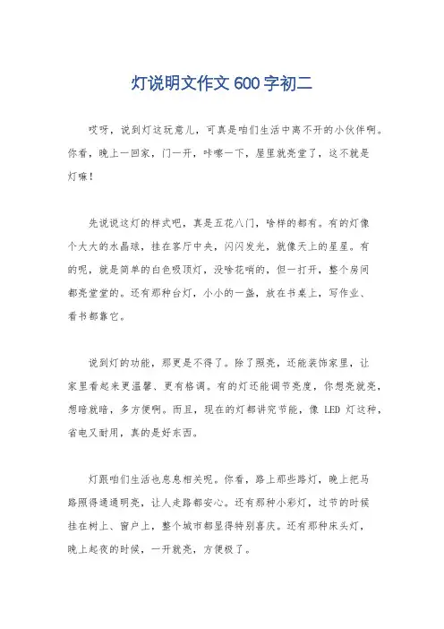 灯说明文作文600字初二