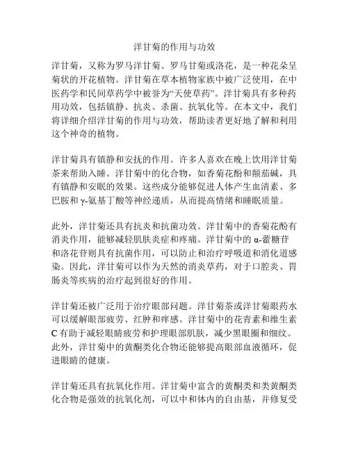 洋甘菊的作用与功效