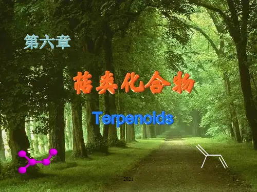 沈阳药科大学天然药物化学——第六章-萜类化合物PPT课件