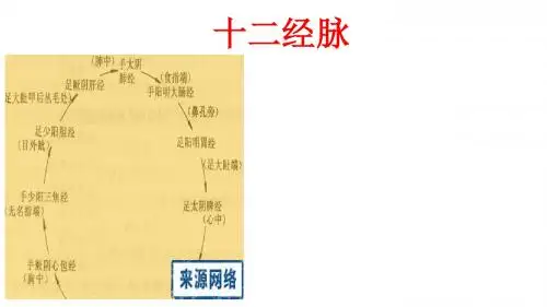 十二经脉