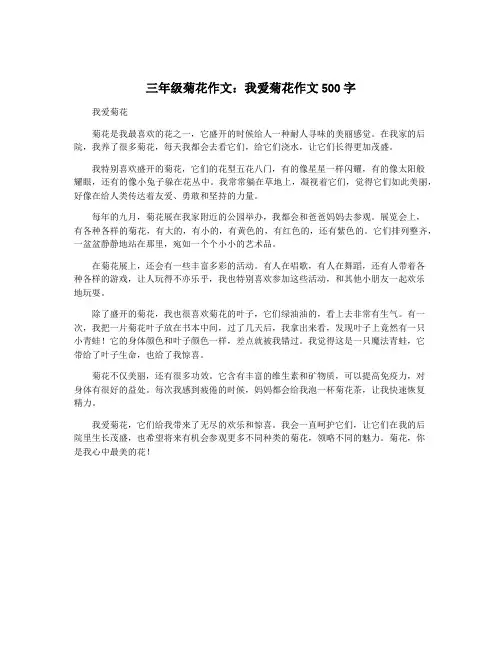 三年级菊花作文：我爱菊花作文500字