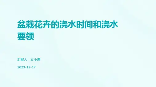 盆栽花卉的浇水时间和浇水要领