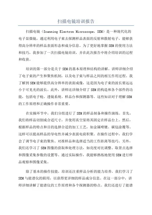 扫描电镜培训报告