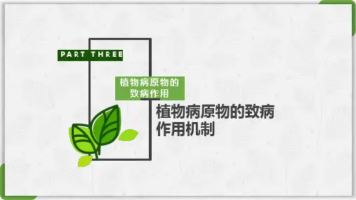 普通植物病理学16