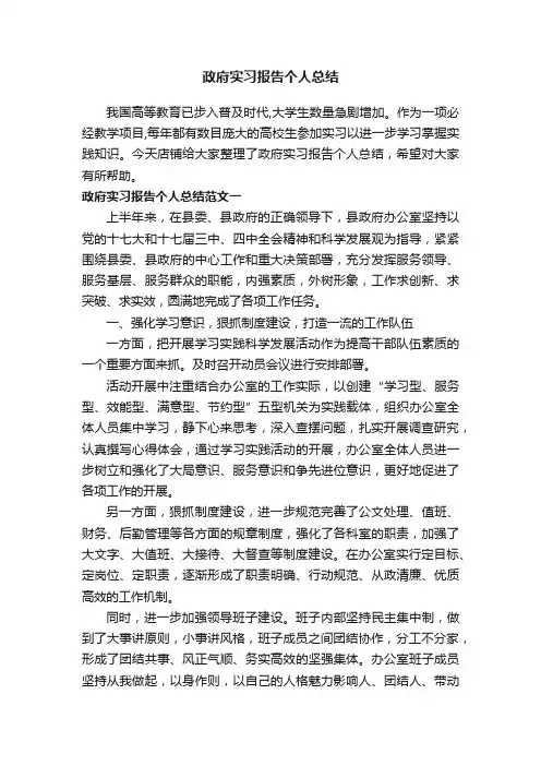 政府实习报告个人总结