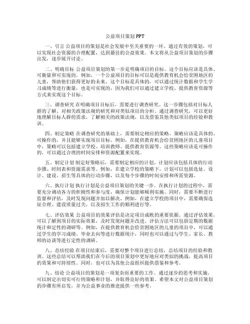 公益项目策划ppt