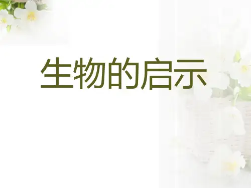 《生物的启示》ppt(1)