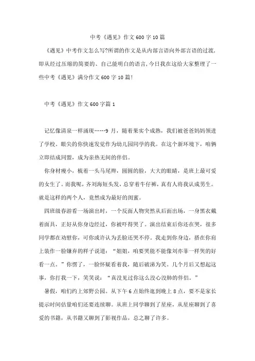 中考《遇见》作文600字10篇