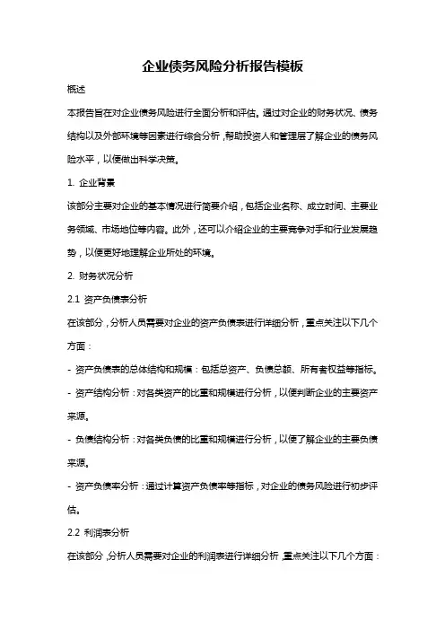 企业债务风险分析报告模板