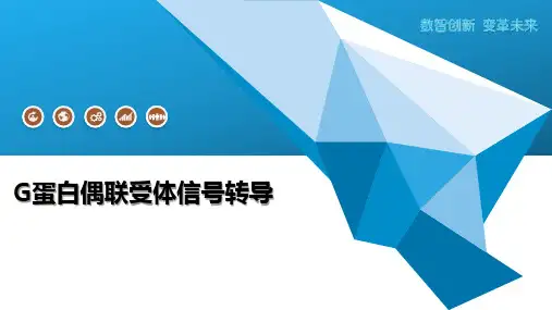 G蛋白偶联受体信号转导
