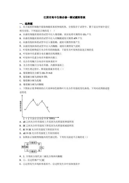 江阴市高中生物必修一测试题附答案