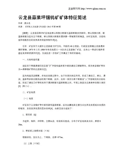 云龙县蒜菜坪锡钨矿矿体特征简述