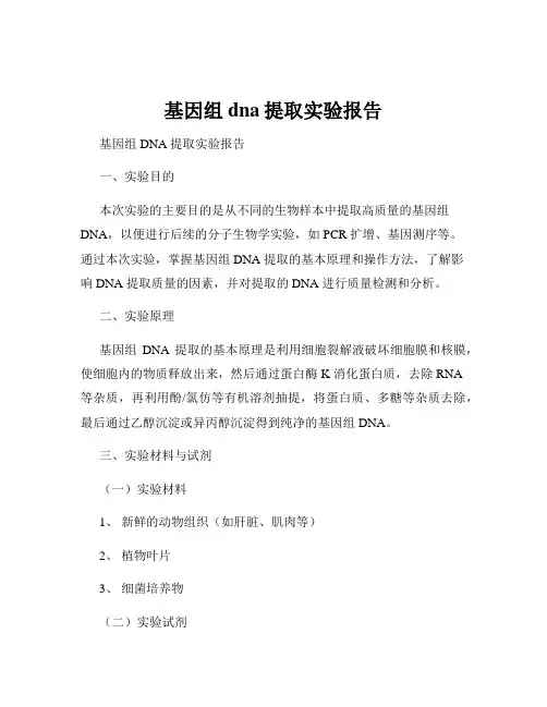 基因组dna提取实验报告