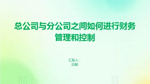 总公司与分公司之间如何进行财务管理和控制