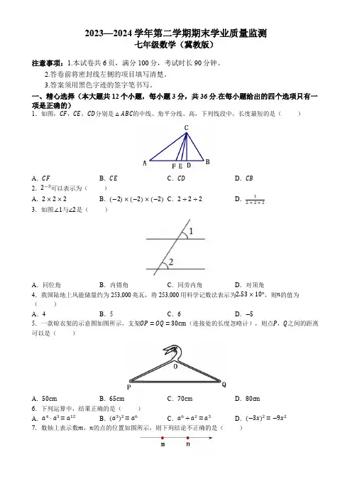 河北省石家庄市新华区2023-2024学年七年级下学期期末数学试题(含答案)