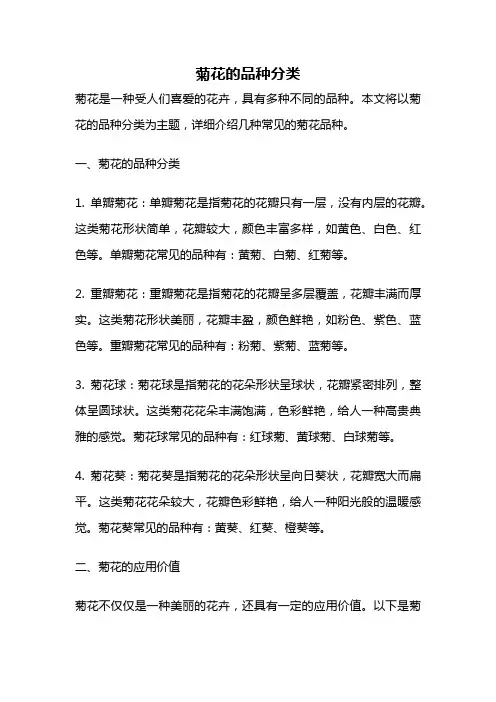 菊花的品种分类