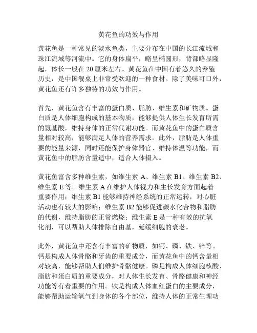 黄花鱼的功效与作用