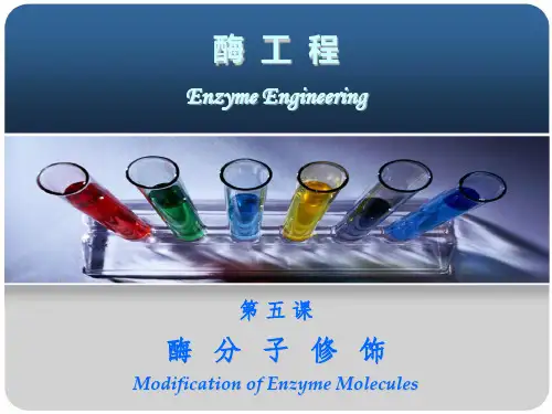 酶工程-05-酶分子修饰