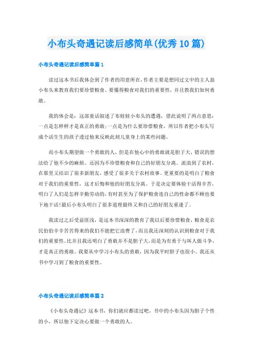 小布头奇遇记读后感简单(优秀10篇)