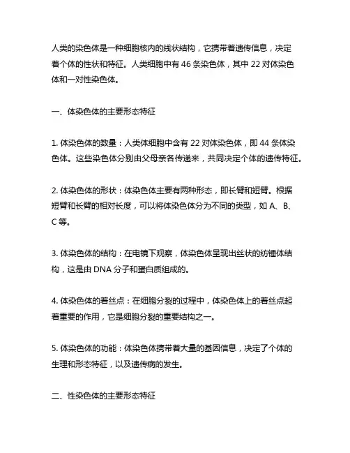 人类各号染色体的主要形态特征 表