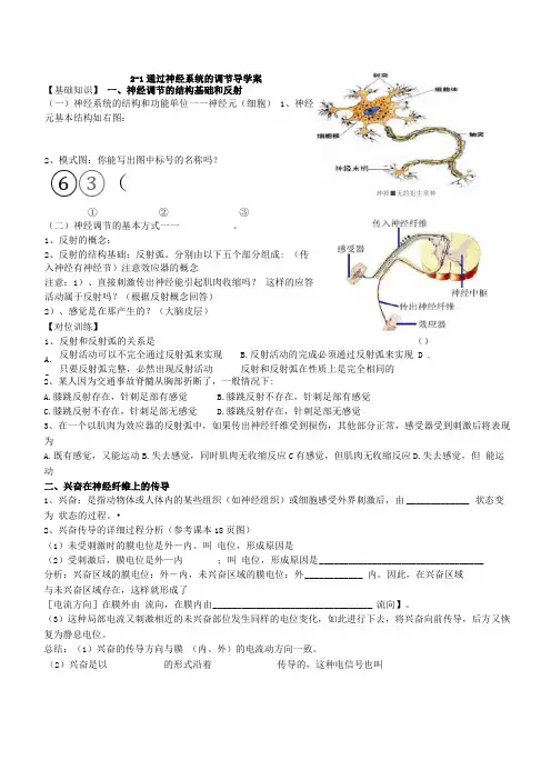整理好的神经调节导学案