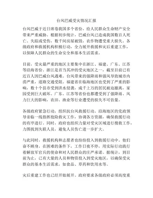 台风巴威受灾情况汇报
