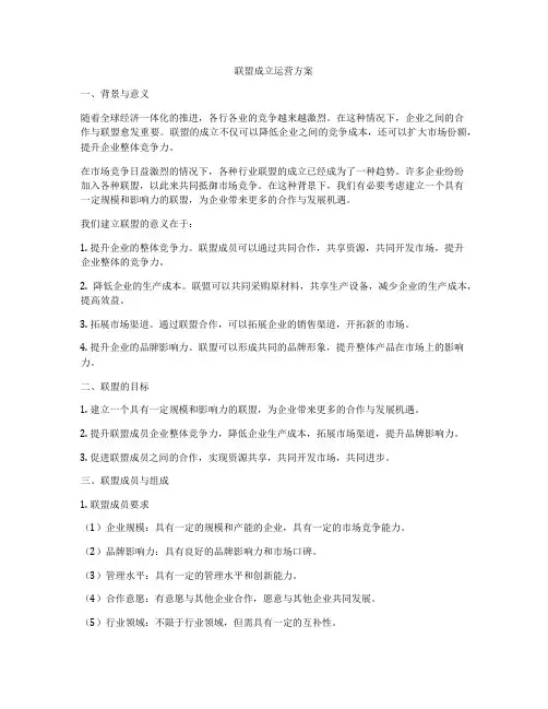 联盟成立运营方案
