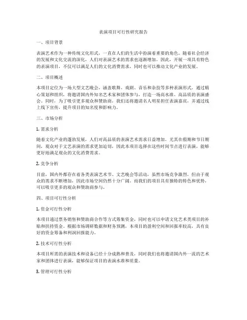 表演项目可行性研究报告
