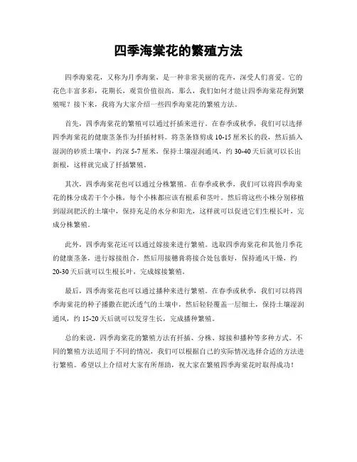 四季海棠花的繁殖方法