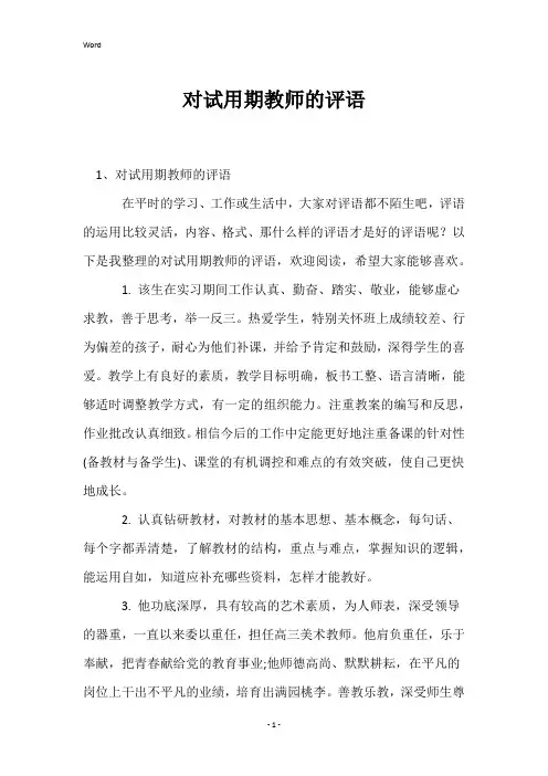对试用期教师的评语