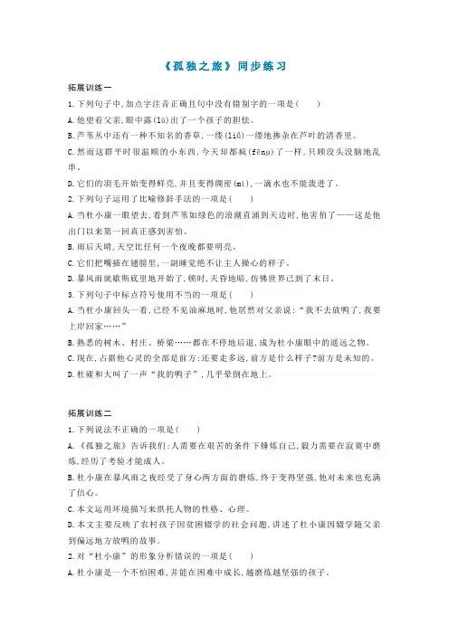 《孤独之旅》同步练习及答案