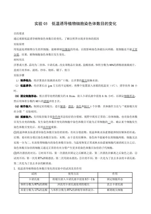 实验03低温诱导植物细胞染色体数目的变化(原卷版)