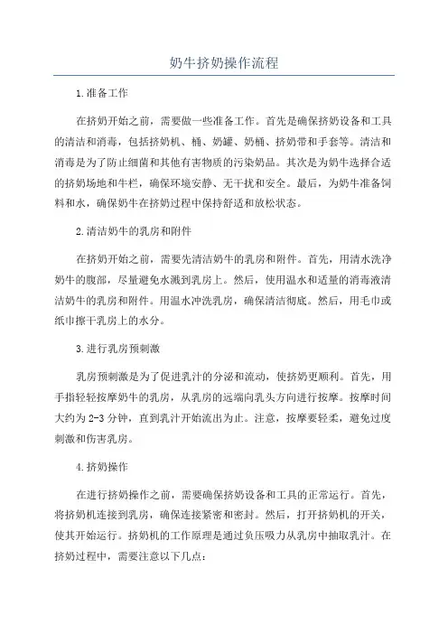 奶牛挤奶操作流程