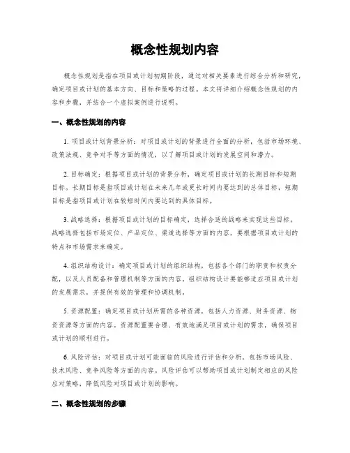 概念性规划内容