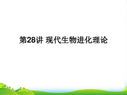 高中生物一轮复习 第28讲 现代生物进化理论课件