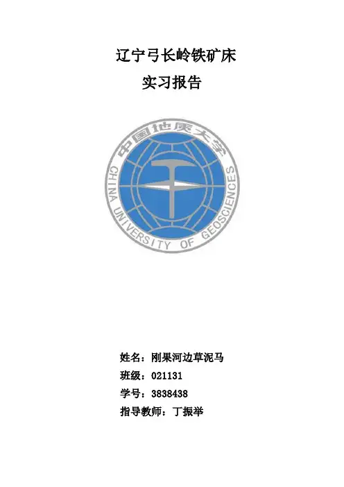 矿床学实习报告—辽宁弓长岭
