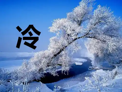 第1节：《温度》教学课件