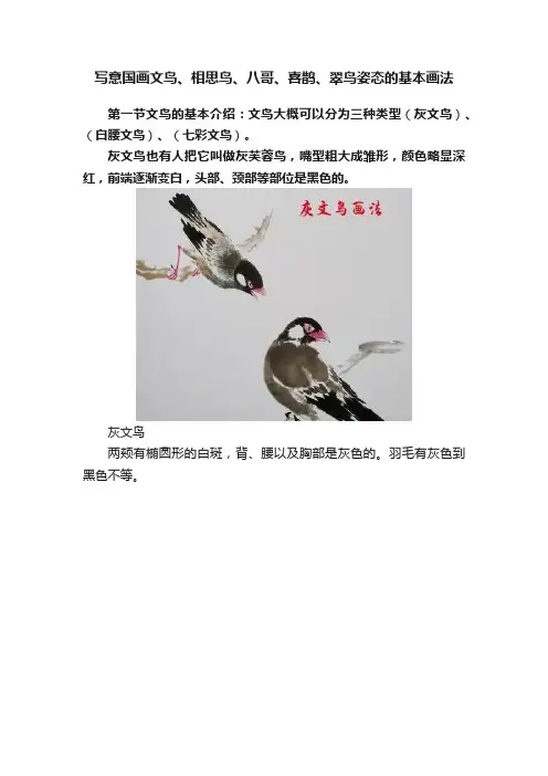 写意国画文鸟、相思鸟、八哥、喜鹊、翠鸟姿态的基本画法