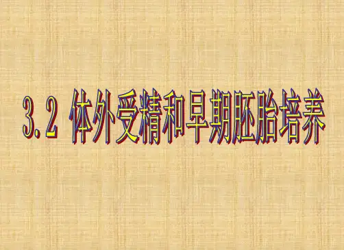 体外受精和早期胚胎培养课件
