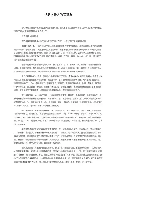 世界上最大的猛犸象
