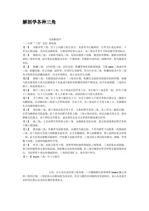 解剖学各种三角