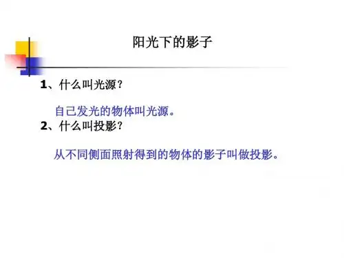 阳光下的影子