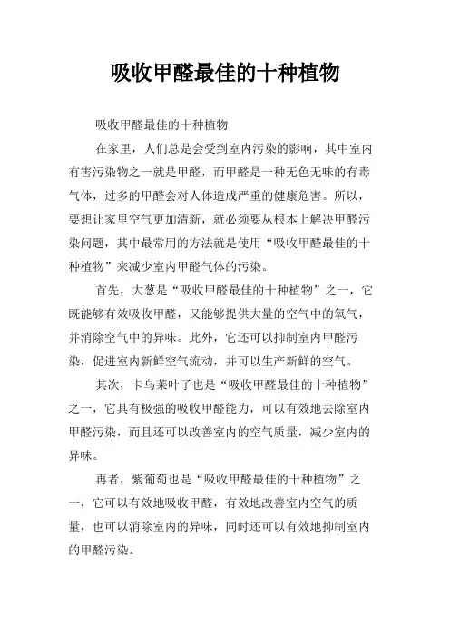 吸收甲醛最佳的十种植物